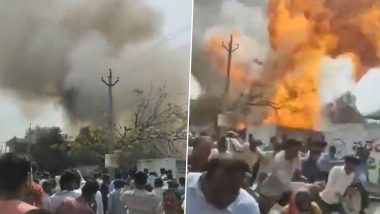Karimnagar Fire: Blaze Erupts in House After Gas Cylinder Blast, Video Surfaces